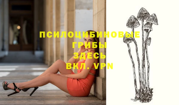 первитин Балахна