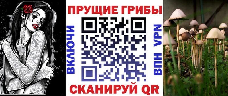Галлюциногенные грибы мицелий  Олёкминск 